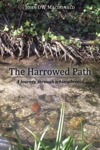 Kniha Harrowed Path John Dw MacDonald