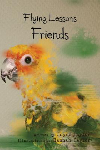 Libro Flying Lessons Taylor