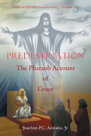 Könyv Predestination Joachim P C Acolatse Jr
