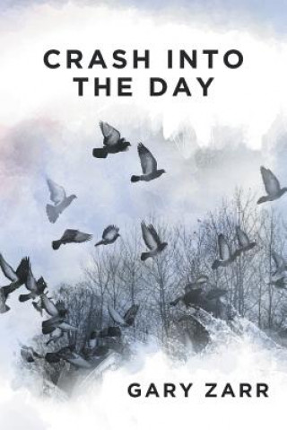 Boek Crash Into the Day Gary Zarr