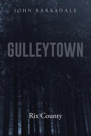 Knjiga Gulleytown John Barksdale