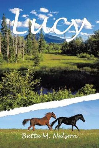 Boek Lucy Bette M Nelson