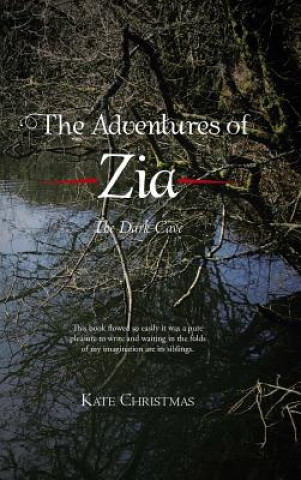 Book Adventures of Zia Kate Christmas