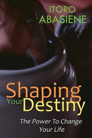 Buch Shaping Your Destiny Itoro Abasiene