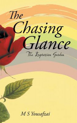 Kniha Chasing Glance M S Yousafzai