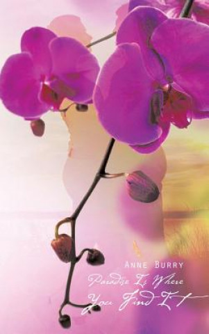 Buch Paradise Is Where You Find It Anne Burry