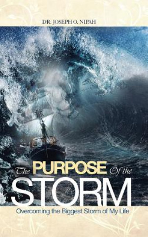 Kniha Purpose of the Storm Dr Joseph O Nipah