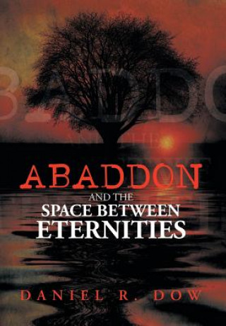 Könyv Abaddon and the Space Between Eternities Daniel R Dow