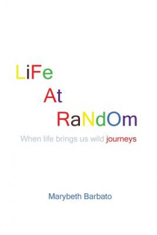 Kniha Life at Random Marybeth Barbato