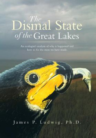 Knjiga Dismal State of the Great Lakes James P Ludwig Ph D