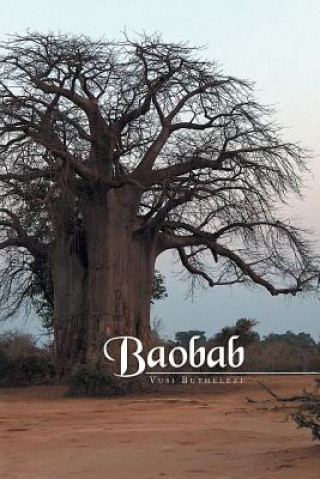 Kniha Baobab Vusi Buthelezi