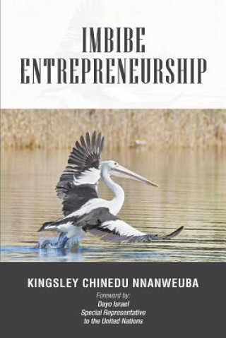 Livre Imbibe Entrepreneurship Kingsley Chinedu Nnanweuba