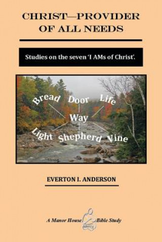 Kniha Christ - Provider of All Needs Everton I Anderson Ph D