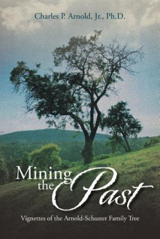 Книга Mining the Past Charles P Arnold Jr Ph D