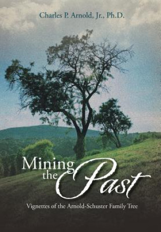 Книга Mining the Past Charles P Arnold Jr Ph D