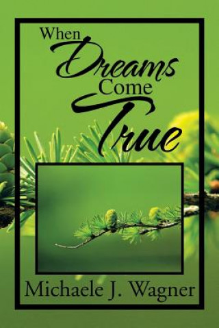 Boek When Dreams Come True Michaele J Wagner