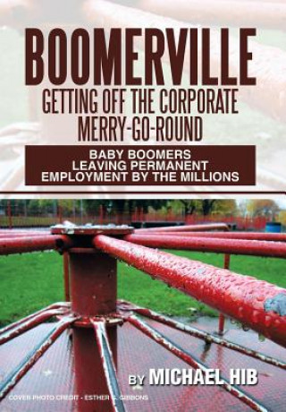 Buch Boomerville Michael Hib