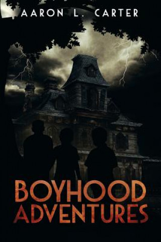 Kniha Boyhood Adventures Aaron L Carter