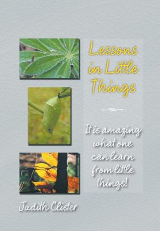 Книга Lessons in Little Things Judith Clister