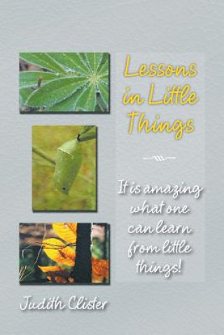 Książka Lessons in Little Things Judith Clister