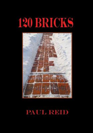 Carte 120 Bricks Paul (Schlumberger Cambridge Research) Reid