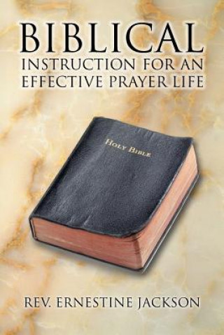 Buch Biblical Instruction for an Effective Prayer Life Rev Ernestine Jackson