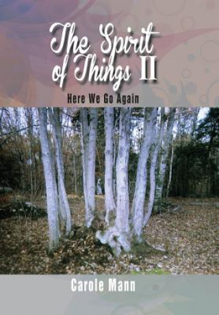Livro Spirit of Things II Carole Mann
