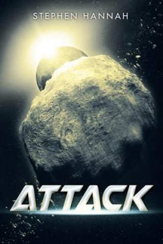 Buch Attack Stephen Hannah
