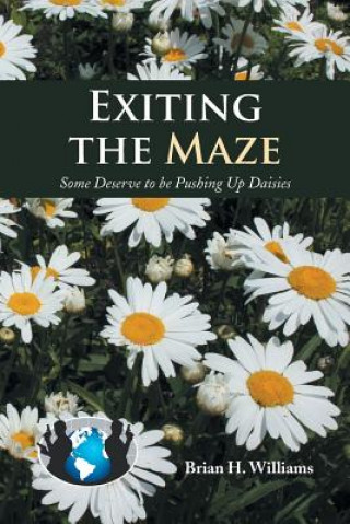 Carte Exiting the Maze Brian H Williams