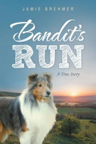 Libro Bandit's Run Jamie Brehmer