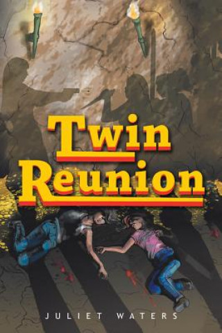 Libro Twin Reunion Juliet Waters