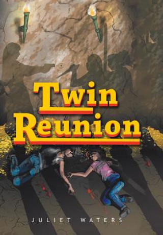 Libro Twin Reunion Juliet Waters