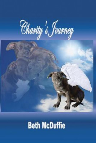 Kniha Charity's Journey Beth McDuffie