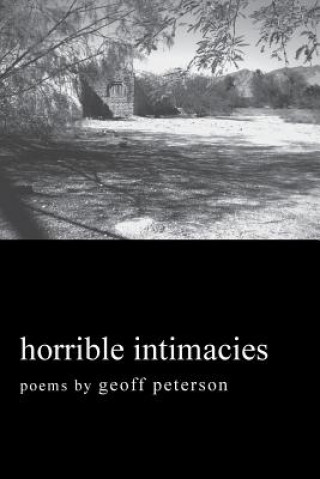 Könyv Horrible Intimacies Geoff Peterson
