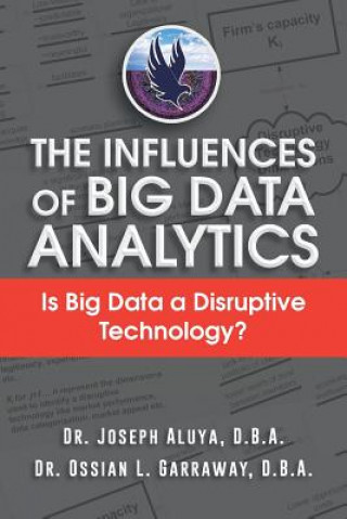 Kniha Influences of Big Data Analytics D B a Dr Joseph Aluya