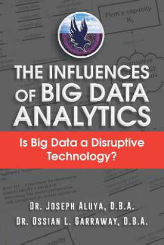 Livre Influences of Big Data Analytics D B a Dr Joseph Aluya