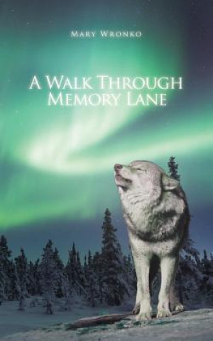 Buch Walk Through Memory Lane Mary Wronko