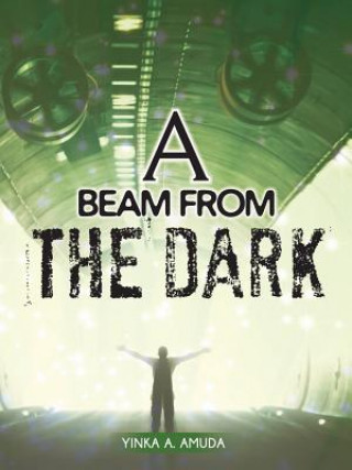 Knjiga Beam from the Dark Yinka a Amuda