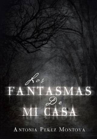 Carte Fantasmas de Mi Casa Antonia Perez Montoya