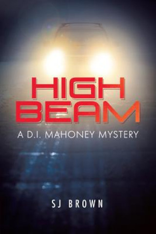 Kniha High Beam Sj Brown