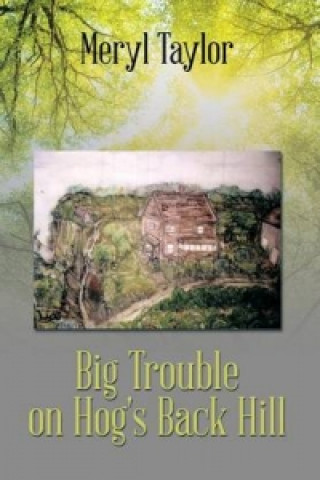 Kniha Big Trouble on Hog's Back Hill Meryl Taylor