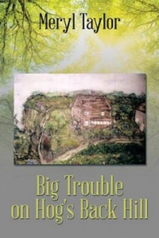 Könyv Big Trouble on Hog's Back Hill Meryl Taylor
