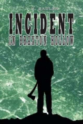 Książka Incident in Braxton Hollow J N Sadler