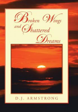 Kniha Broken Wings and Shattered Dreams D J Armstrong