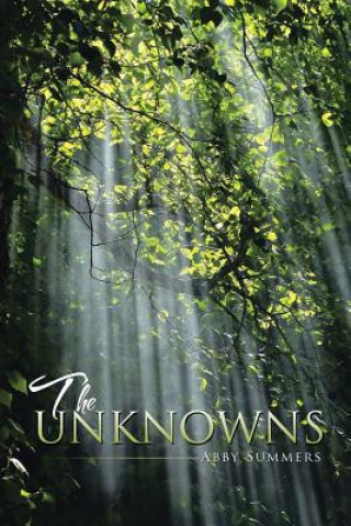 Book Unknowns Abby Summers