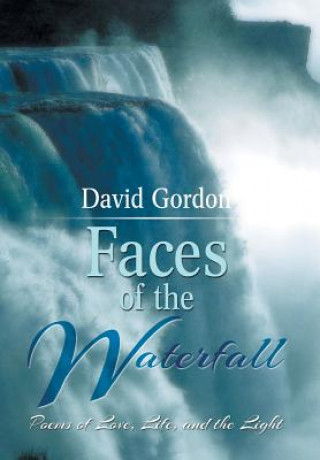 Kniha Faces of the Waterfall David Gordon