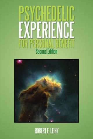 Book Psychedelic Experience for Personal Benefit Robert E Leihy