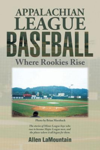 Kniha Appalachian League Baseball Allen Lamountain