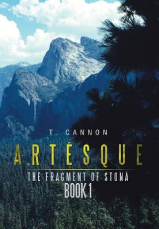 Kniha Artesque T Cannon