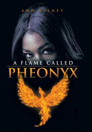 Könyv Flame Called Pheonyx Ann Gilkey